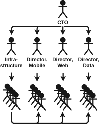 Org structure as in the earlier figure but with a Director of common infrastructure whose team supports each of the other directors' teams