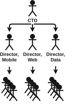 Org structure where a CTO (Chief Technical Officer) has reporting to them a director of data science, a director of mobile, and a director of web; each director has different developers reporting to them